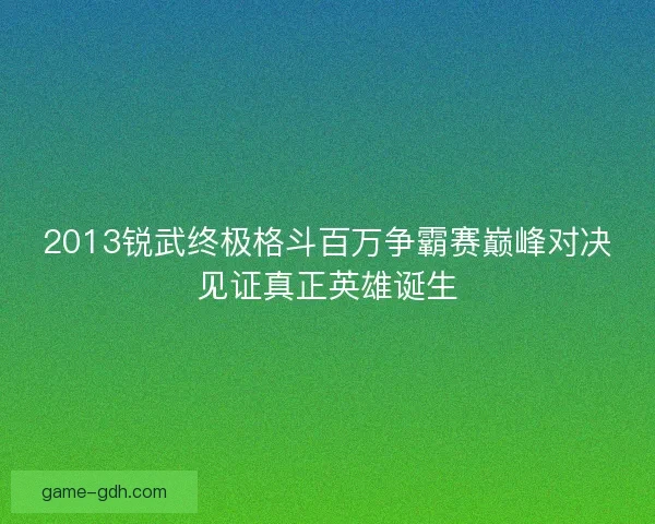 2013锐武终极格斗百万争霸赛巅峰对决见证真正英雄诞生